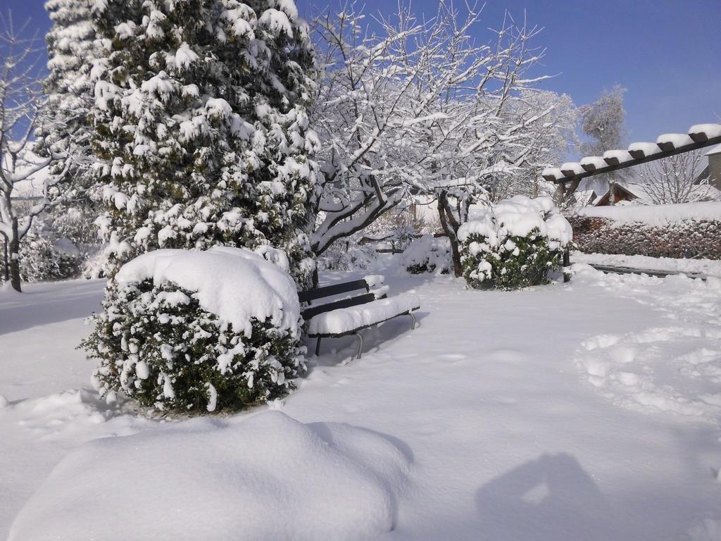 Apartment In Langewiese Sauerland With Garden Winterberg Ngoại thất bức ảnh