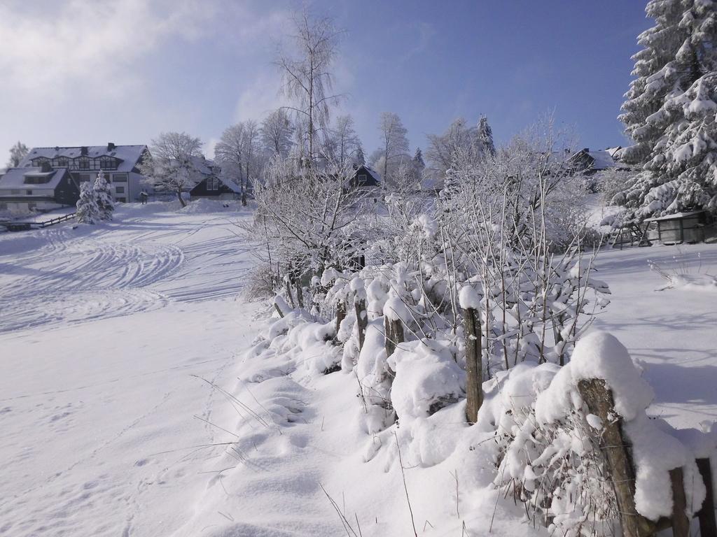 Apartment In Langewiese Sauerland With Garden Winterberg Ngoại thất bức ảnh